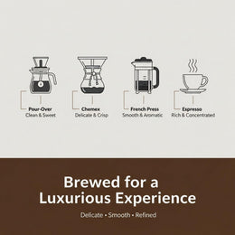 Montuno Kopi Luwak Arabica Coffee, Premium Gourmet, 1 Lb (Whole Bean)