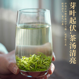 Biluochun Green Tea
