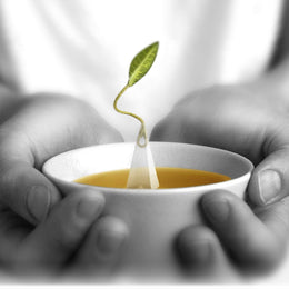 Organic Blueberry Merlot Herbal Tea