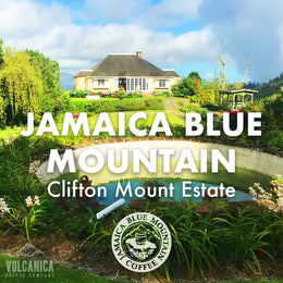 Jamaica Blue Mountain Whole Bean Coffee