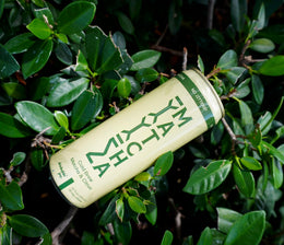 Organic Ceremonial Matcha Citrus Powder