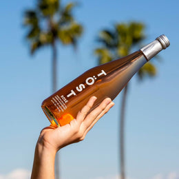 TÖST All-Natural Alcohol Free Sparkling Beverages