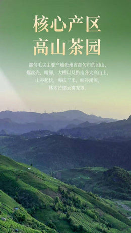 Wuyi Mountain Lapsang Souchong Black Tea