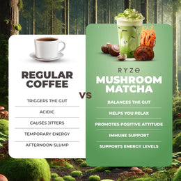 Organic Mushroom Matcha Starter Kit