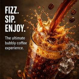 Frizz, Carbonated Coffee Drink, 8.5 Ounce (24 pack cans)