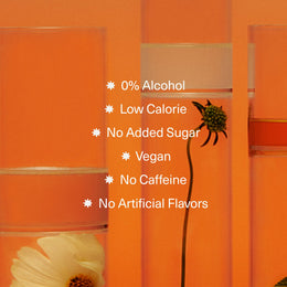 Non-Alcoholic Cocktail Variety Pack