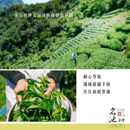 Dayuling High Mountain Oolong Tea