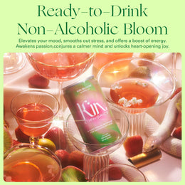 Kin Euphorics Non-Alcoholic Functional Beverage | Invigorating Booster