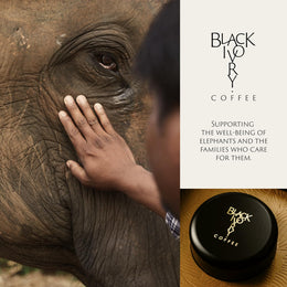 Naturally Refined Whole Bean Coffee