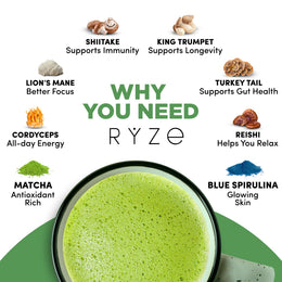 Organic Mushroom Matcha Starter Kit