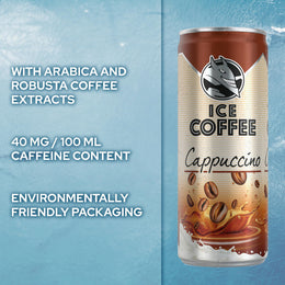 Iced Cappuccino Coffee