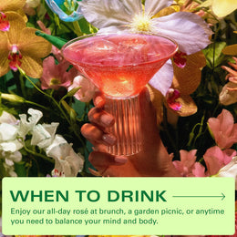 Kin Euphorics Non-Alcoholic Functional Beverage | Invigorating Booster